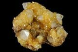 Sunshine Cactus Quartz Crystal Cluster - South Africa #115156-1